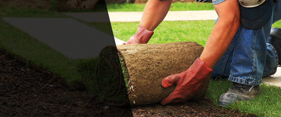 Pemberton Landscapers